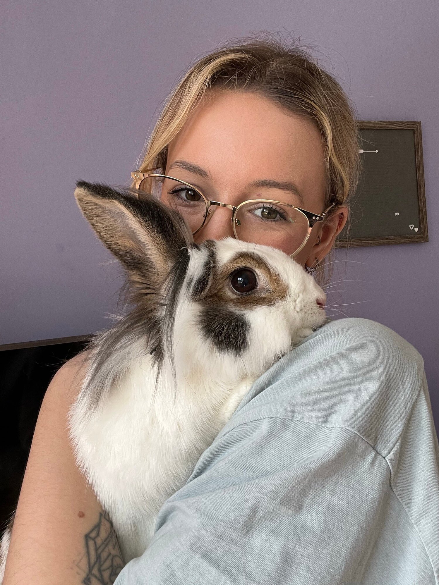 Small Animal Boarding Services in Southampton - Rabbits - Guinea pigs - Rats - Hamsters - Degus - The Hoppiness Lodge - Lydia and Athena Small Animal Boarding Services in Southampton - Rabbits - Guinea pigs - Rats - Hamsters - Degus - The Hoppiness Lodge - Lydia and Athena