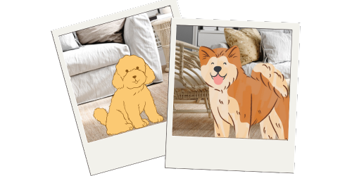 Hoppiness Pet Care - Testimonials - Pet Sitting - Dog Walking 13 Hoppiness Pet Care - Testimonials - Pet Sitting - Dog Walking 13
