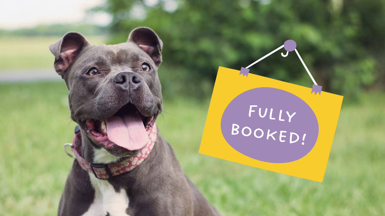 Not Accepting New Clients (Except Holiday Cat / Small Animal Care!)