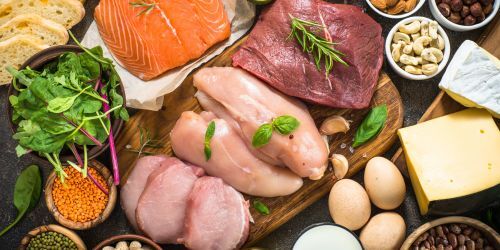 Is Raw Feeding Right for You and Your Dog?