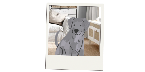 Website Images - 52 Website Images - 52